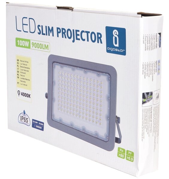 Aigostar - Riflettore LED LED/100W/230V grigio 4000K IP65