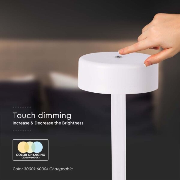 LED Lampada da tavolo ricaricabile dimmerabile LED/3W/5V 3000-6000K bianco