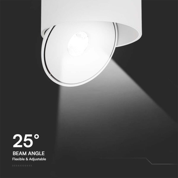 Faretto LED LED/20W/230V 3000/4000/6400K bianco