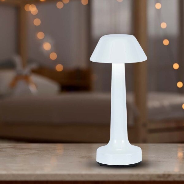 LED Lampada da tavolo ricaricabile dimmerabile LED/1W/5V 3000-6000K bianco