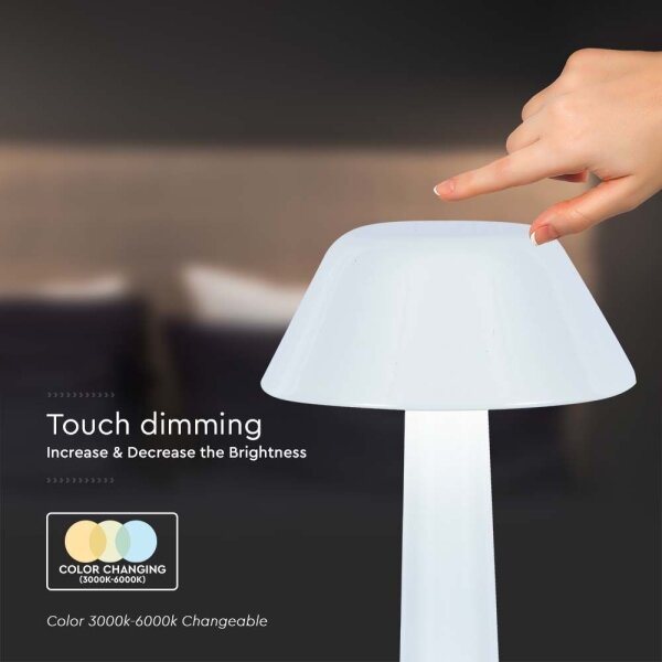 LED Lampada da tavolo ricaricabile dimmerabile LED/1W/5V 3000-6000K bianco