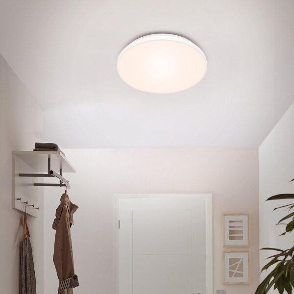 Briloner 7377-016 - Plafoniera LED dimmerabile LED/12W/230V 3000-6500K