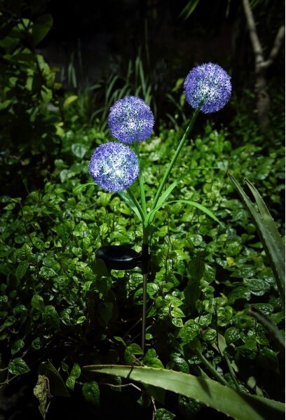 Globo 33599P - Lampada LED solare SOLAR 3xLED/0,06W/3V 5000K IP44 viola