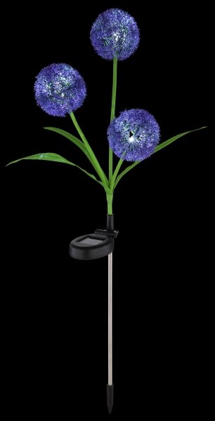 Globo 33599P - Lampada LED solare SOLAR 3xLED/0,06W/3V 5000K IP44 viola