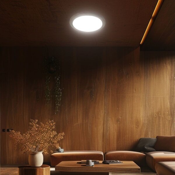 Plafoniera LED dimmerabile LED/60W/230V 3000-6500K + +TC