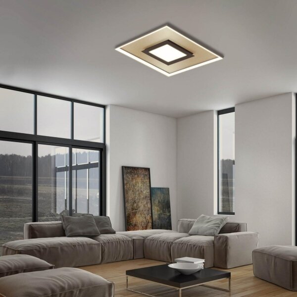 Briloner 3641-017 - Luce LED dimmerabile FRAME LED/30W/230V 2700-6500K + +TC