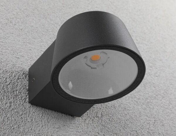 Paulmann 94713 - LED/6W IP44 Applique da esterno CAPERA 230V