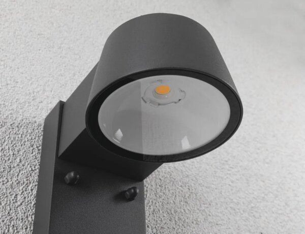 Paulmann 94714 - LED/6W IP44 Applique da esterno con sensore CAPERA 230V