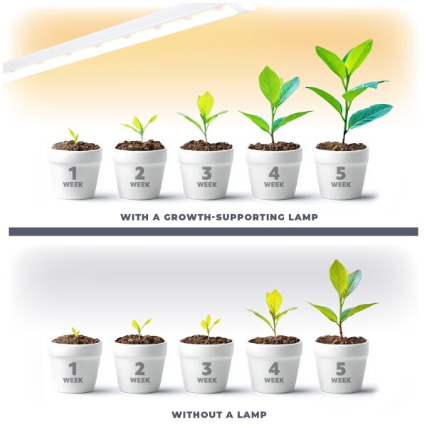 Lampada LED per coltivazione piante GROWLY LED/15W/230V