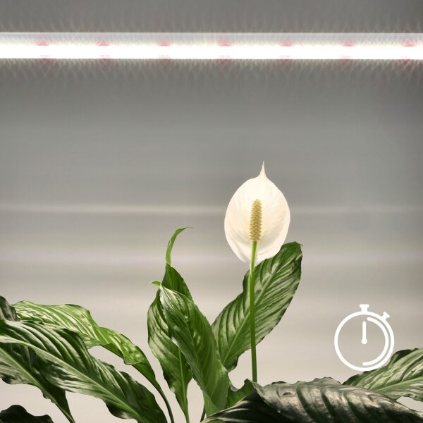 Lampada LED per coltivazione piante GROWLY LED/15W/230V