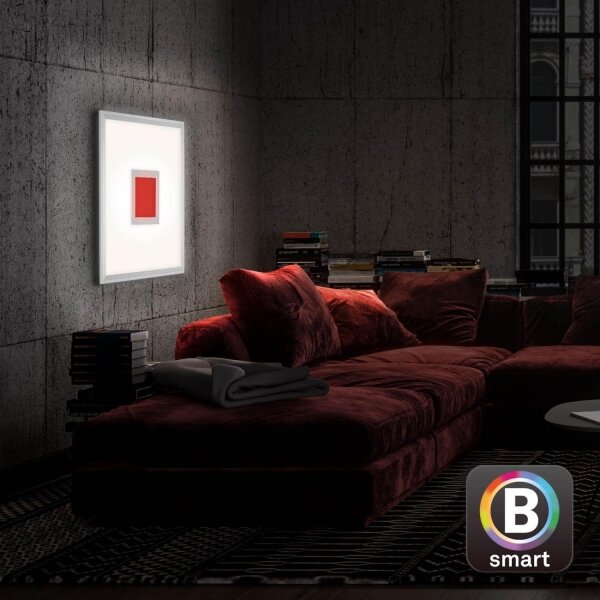 Brilo -Plafoniera LED RGB dimmerabile CENTRO LED/24W/230V Wi-Fi Tuya + +TC