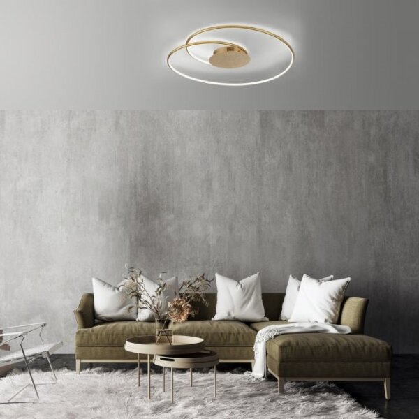 Paul Neuhaus 6189-12 - Plafoniera LED dimmerabile NASTRO LED/26W/230V