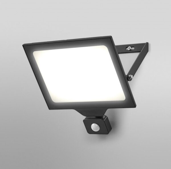 Ledvance - Proiettore LED da esterno con sensore FLOODLIGHT LED/100W/230V IP44