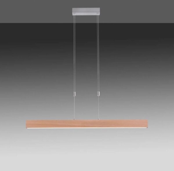Leuchten Direkt 11420-78 - Lampadario LED sospeso su cavo AMANDA LED/30W/230V 2700-5000K