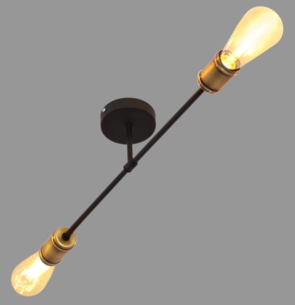 Lampadario a plafone CAMBRIDGE 2xE27/15W/230V nero/oro