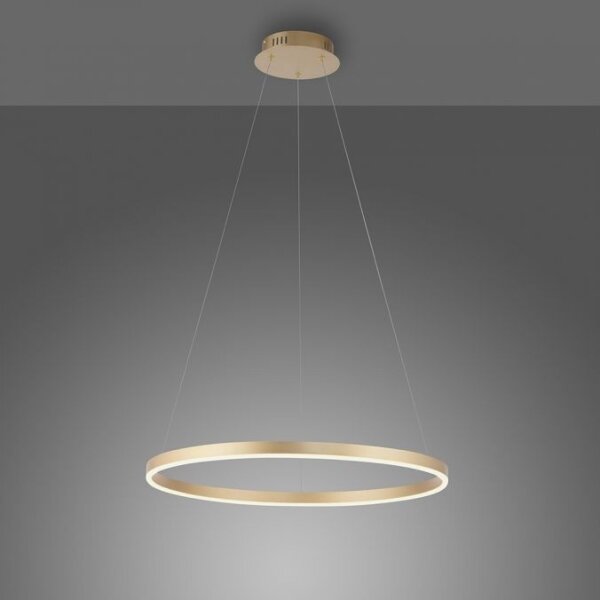 Leuchten Direkt 15394-60 - Lampadario LED dimmerabile su filo RITUS LED/28W/230V