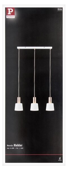 Paulmann 79657 - 3xE14/20W Lampadario a sospensione con filo NEORDIC HALDAR 230V