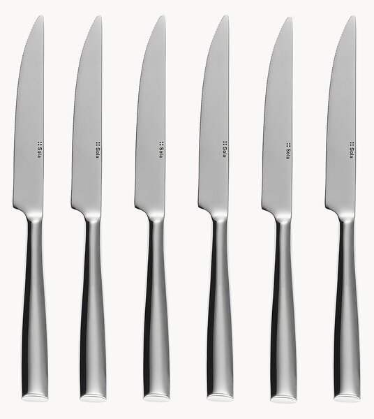 Set di 6 coltelli da bistecca in scatola magnetica Vail