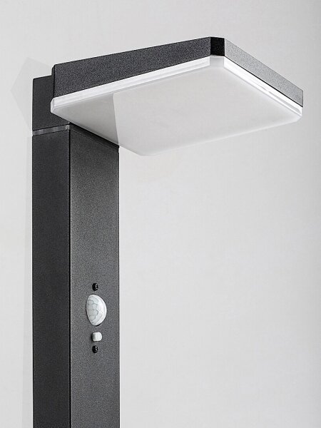 Rabalux 77079 - Lampada solare LED esterna LASSET LED/4,4W/3,7V IP54 antracite