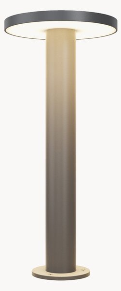 Lampada da giardino a LED Wald