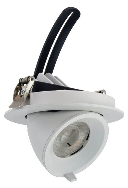 Faro LED da Incasso 15W CCT Orientabile foro Ø100mm con driver Philips Colore Bianco Variabile CCT