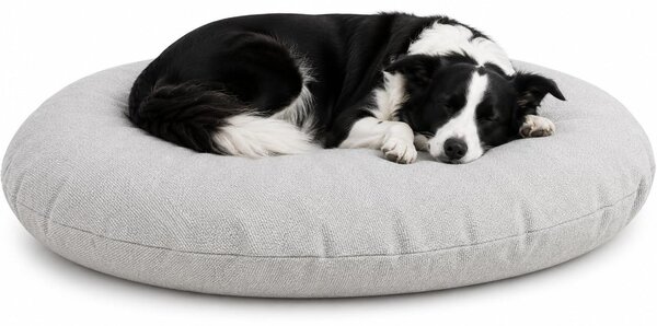 Cuccia per cani - Cuccia per gatti - Modello Baleno, forma ovale, colore grigio scuro - Dimensioni: 100 x 76 x 10 cm - Cuscino rimovibile