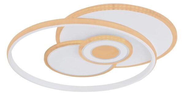 Globo 48442-50SH - Plafoniera LED dimmerabile RODERICK 50W/230V 46x54,5 cm + telecomando