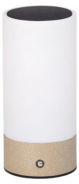 Lampada solare Dehner Levi, diametro 9 cm, altezza 20 cm – Lampada da esterno a LED con alimentazione solare e a batteria, cavo USB-C incluso, luce bianco caldo, sensore di luminosità, acciaio inossidabile e vetro