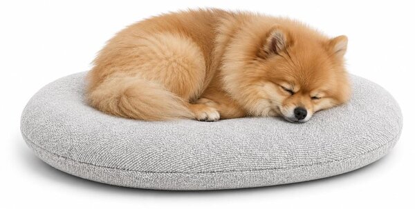 Cuccia per cani - Cuccia per gatti - Modello Baleno, forma ovale, colore grigio scuro - 50 x 40 x 8 cm - Rivestimento removibile