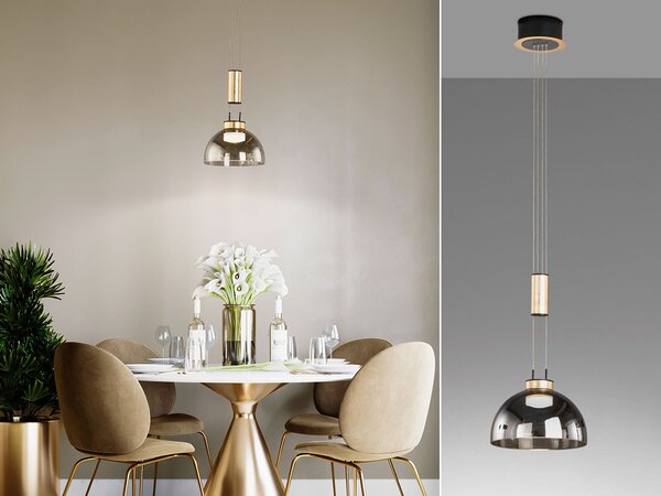 Lampada a sospensione a LED a un punto luce, dimmerabile e regolabile in altezza - Paralume in vetro fumé