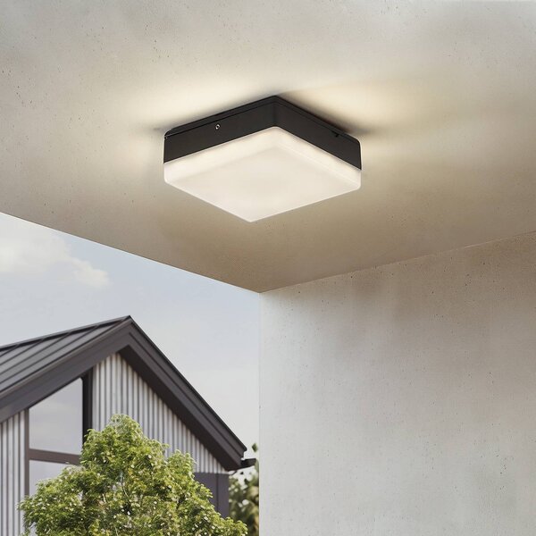 Lucande Plafoniera LED Thilo, 16 cm, antracite, sensore, IP54 Thilo, Plastica, Moderno, Plafoniere LED