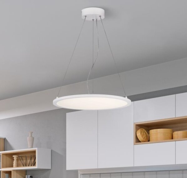 Westinghouse 65751 - Lampadario LED dimmerabile a filo ATLER LED/32W/230V 45 cm