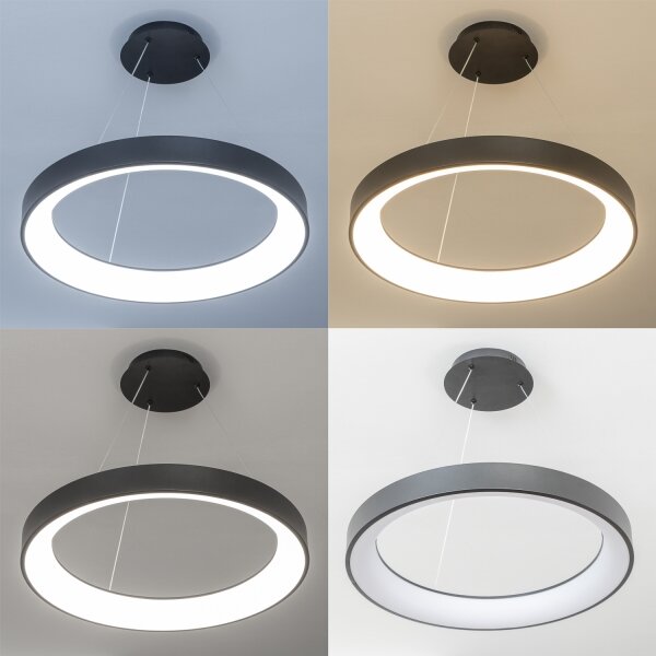 Brilagi - Lampadario LED dimmerabile a cavo FALCON II LED/99W/230V diam. 60 cm nero + telecomando