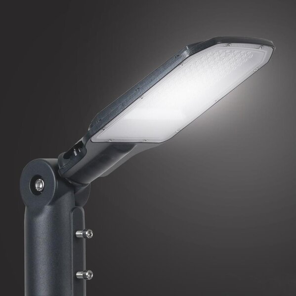 Brilagi - Lampione stradale LED da esterno URBANLIGHT LED/50W/230V antracite IP65