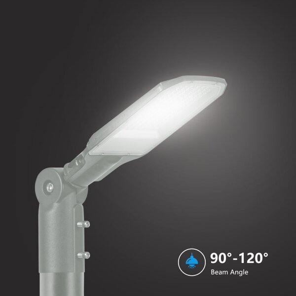 Brilagi - Lampione stradale LED da esterno URBANLIGHT LED/50W/230V grigio IP65