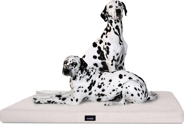 Tierlando® Materassino ortopedico per cani ALICE VISCO materassino per cani S - XXL - dimensioni: 80x60cm | colore: 05 crema