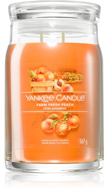 Yankee Candle Farm Fresh Peach candela profumata Signature 567 g