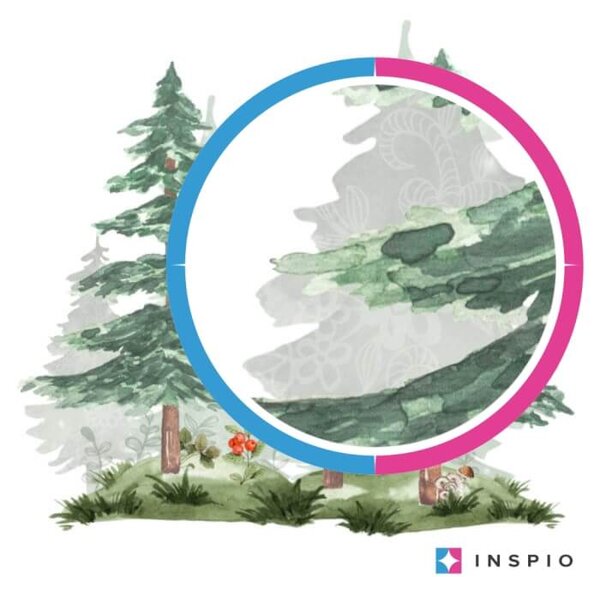Paesaggio con foresta nella stanza dei bambini