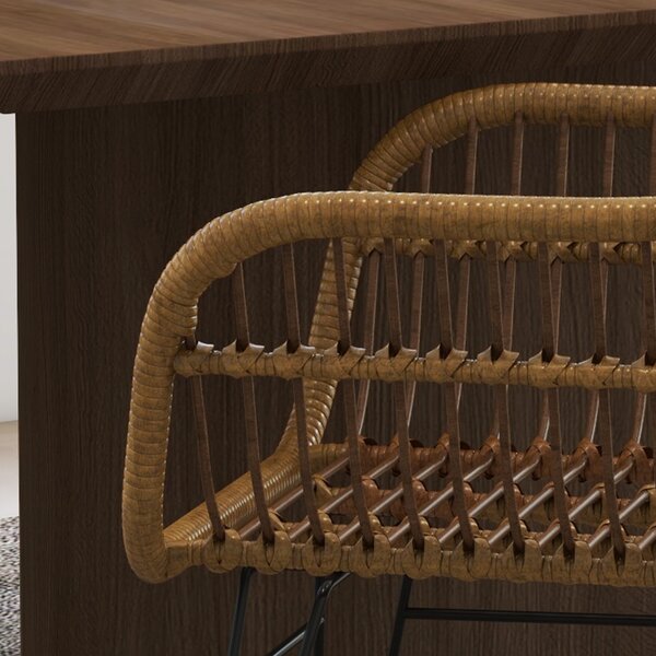 HOMCOM Set di 2 sedie fauteuils con Schienale e braccioli curve, Il rattan PE e Piedi in acciaio, design bohémien, Naturale, Nero| Aosom Italy