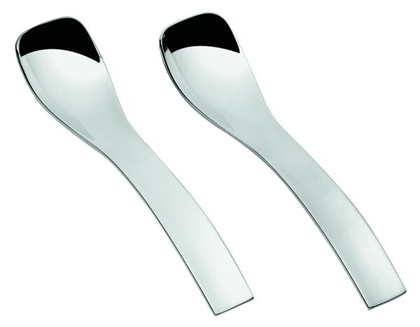 Cucchiaini In fusion piccoli in Acciaio INOX Confezione da 6 pezzi 10,5 cm per gelati e macedonie