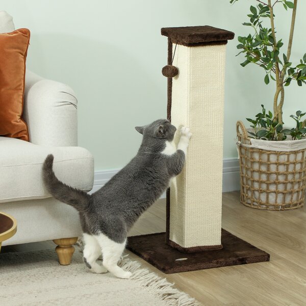 PawHut Grattatoio per gatti asta grattatoio gatto in sisal e peluche, pallina sospesa base stabile 41 x 41 x 81 cm marrone e crema | Aosom Italy