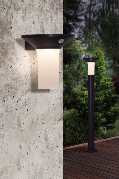 Eglo 900243 - Lampada solare da esterno a LED con sensore 6xLED/0,03W/3,7V IP44