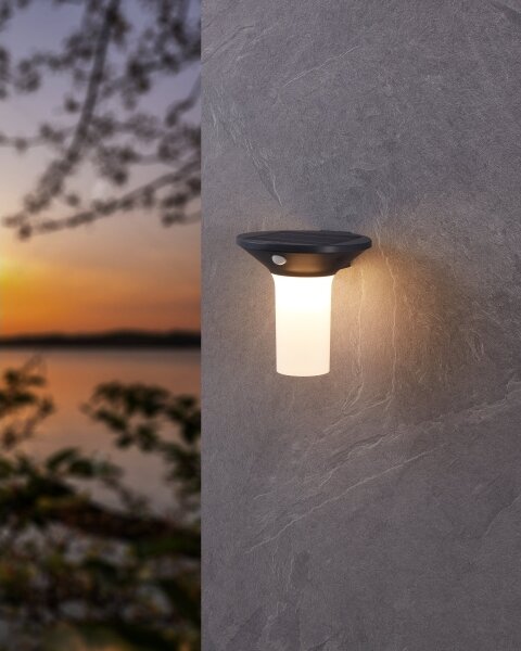 Eglo 900243 - Lampada solare da esterno a LED con sensore 6xLED/0,03W/3,7V IP44