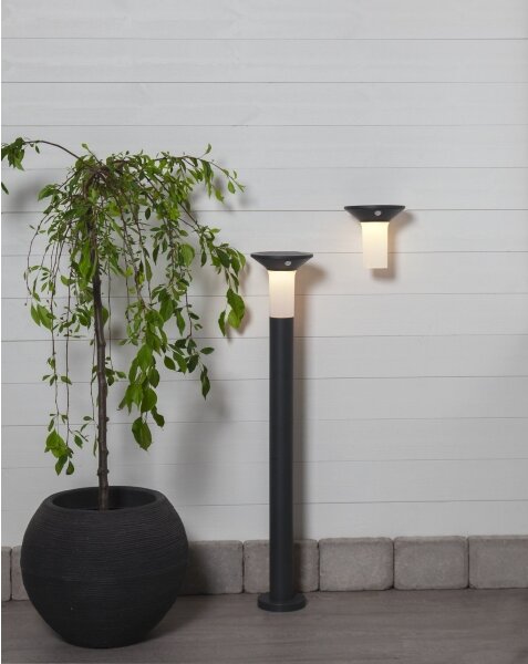Eglo 900243 - Lampada solare da esterno a LED con sensore 6xLED/0,03W/3,7V IP44