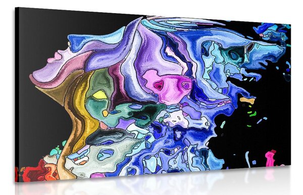 Quadri silhouette di viso di donna a colori