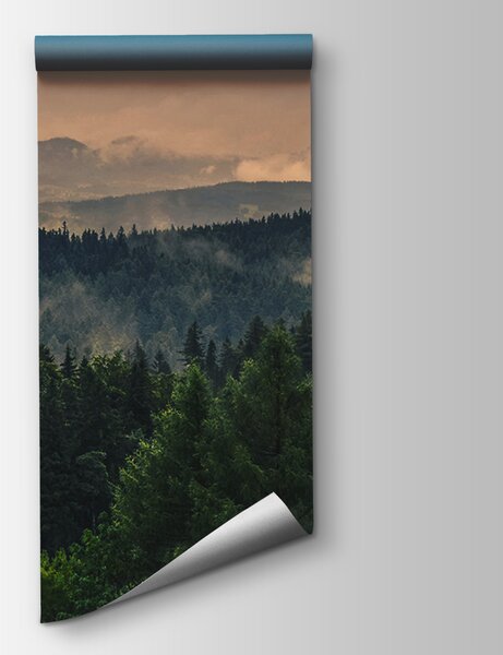 Carta da parati Foresta con nebbia e nuvole, Carta da parati design, Carta da parati popolare, u72174 - Tapeko.it