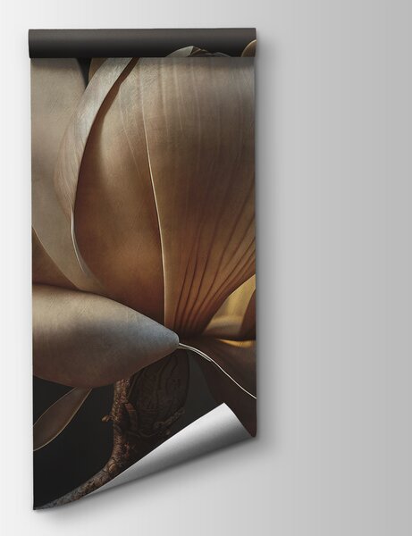 Carta da parati Graziosa magnolia in luce soffusa, Carta da parati 3d fiori, Carta da parati popolare, u94507 - Tapeko.it