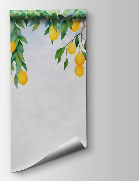 Carta da parati Limoni da un albero, Carta da parati acquerello sul muro, Carta da parati popolare, u97593 - Tapeko.it