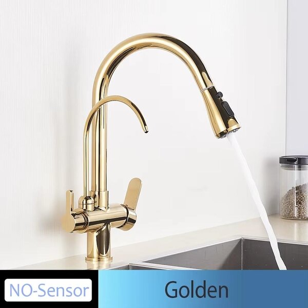 Miscelatore da cucina – Rubinetto estraibile – Acqua calda e fredda – Adatto per acqua filtrata – A due manopole – Montaggio su piano – Colore oro – Senza sensore