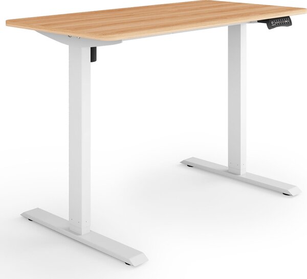 ESMART ETX-121WM 120x60cm Acero Scrivania ergonomica regolabile in altezza elettricamente in modo continuo 73,5-123,5 cm 3x memoria Promemoria attività Soft-Start/Stop Montaggio rapido